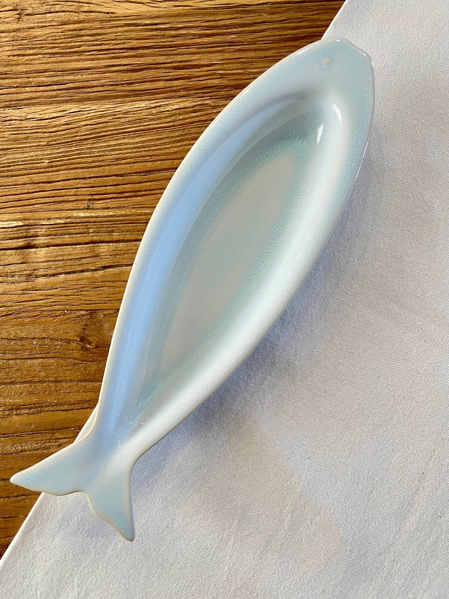 Concave fish in light blue tones